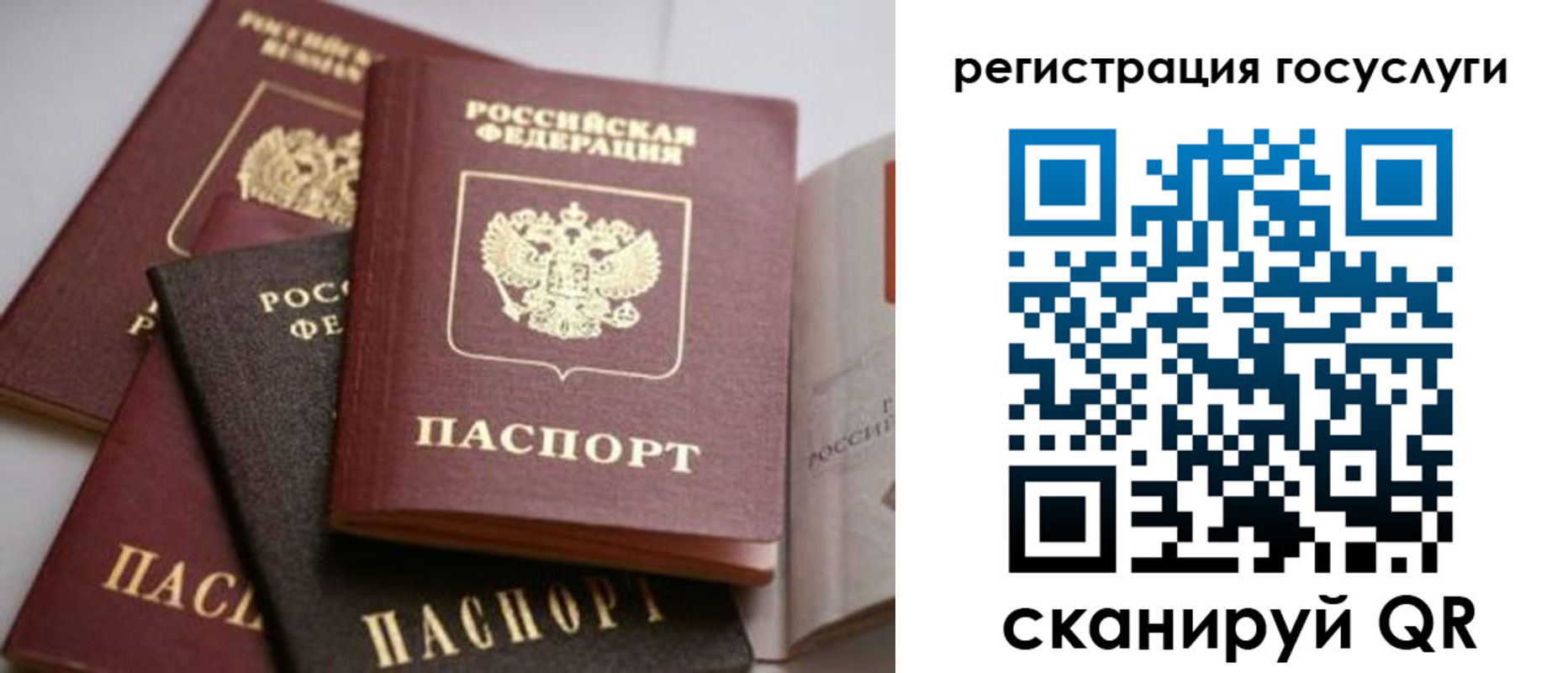 пропишу в квартире в Краснодаре